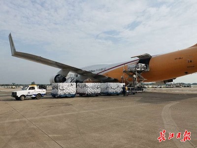 跨境生鲜提速 境外三文鱼首次乘全货机飞抵武汉，助力餐桌更鲜