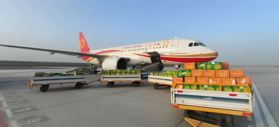 阿拉尔机场建设航空货运代理业务即将开启!